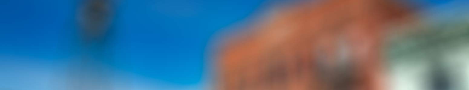 D1Flex-Banner